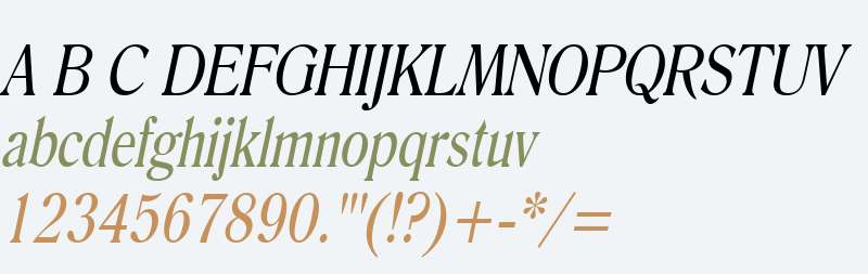 Roomy Condensed Italic