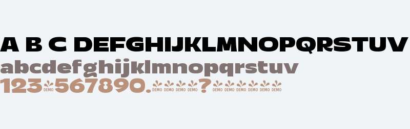 FSP DEMO - nnr xpndd Blck