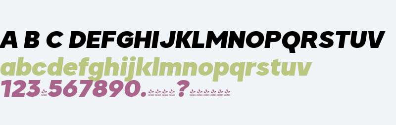 FSP DEMO - Biotic Black Italic