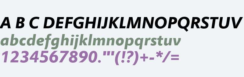 Miramonte W01 Bold Italic