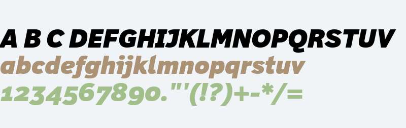 Felbridge W04 Black Italic
