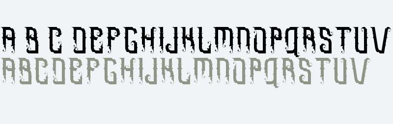 Omnivorous Free Bold