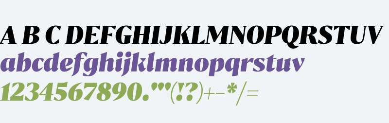 Bw Darius DEMO Black Italic