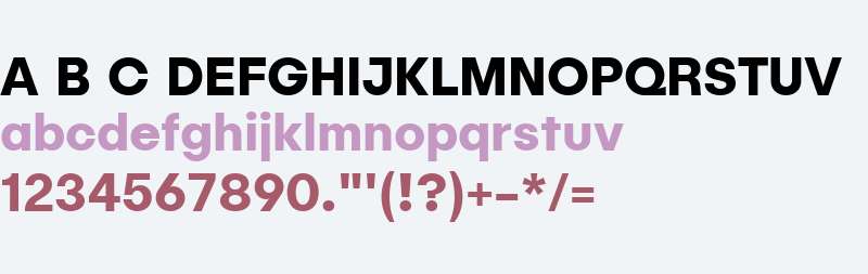 Publica Sans W00 Bold