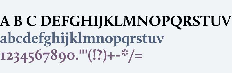 Calluna W03 Bold