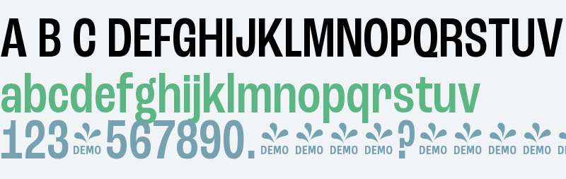 FSP DEMO - Rc Grtsk Cndnsd Mdm