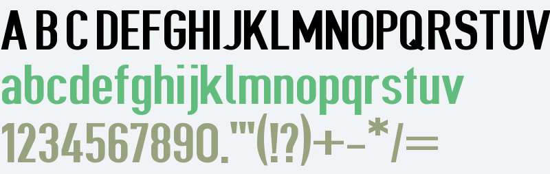 Give A Hoot Bold Extended