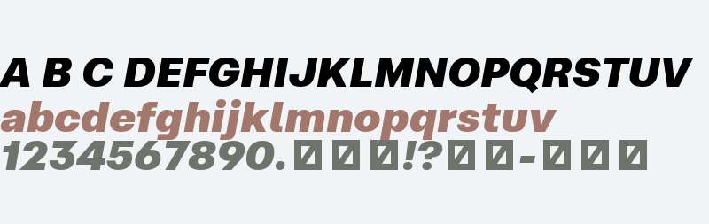 At Hauss Std TRIAL Black