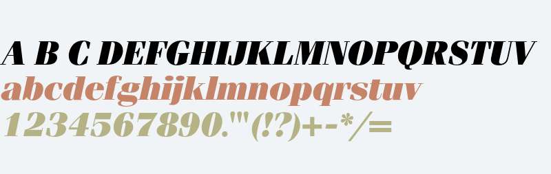 Fenice* Ultra Italic