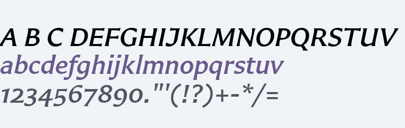 Carter Sans W01 Medium Italic