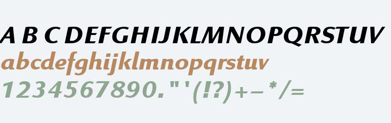 Linex Sans W04 Bold Italic