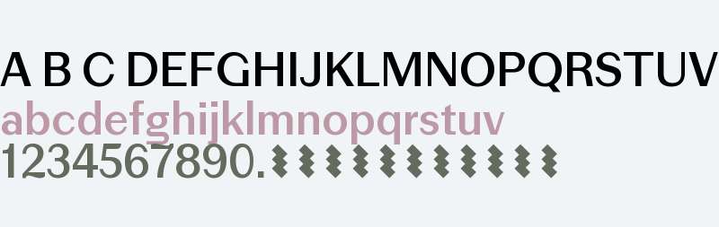 Picaresk Test Medium