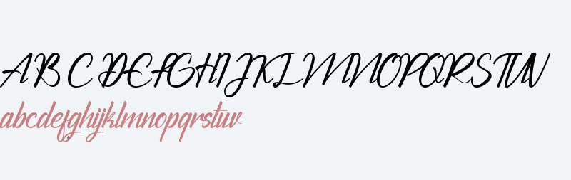 The Chamid Personal Use Only