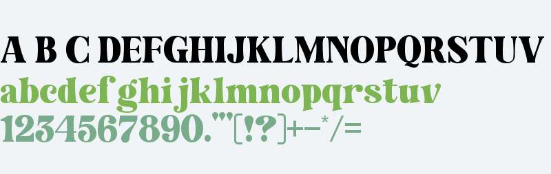 Holly Wings Serif
