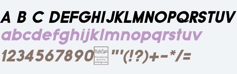 Typo Grotesk Black Italic