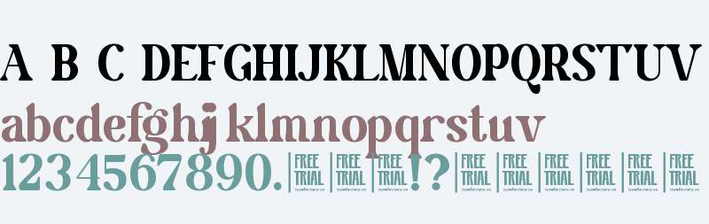 Wordle - Free Trial