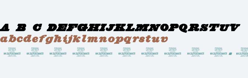 Peacemaker Black PERSONAL USE