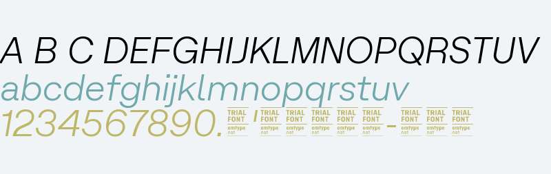 Micrograph Trial Light Italic
