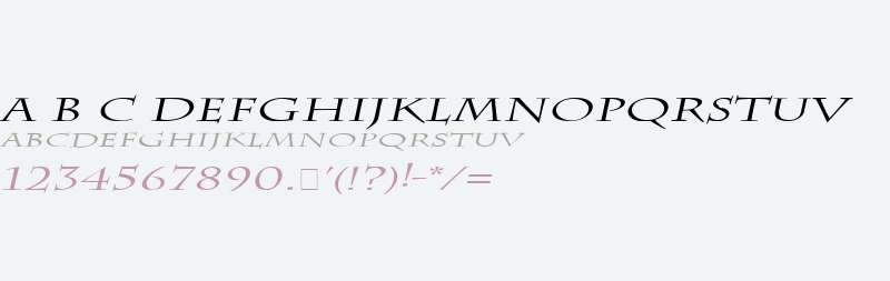 Chaz Extended Italic