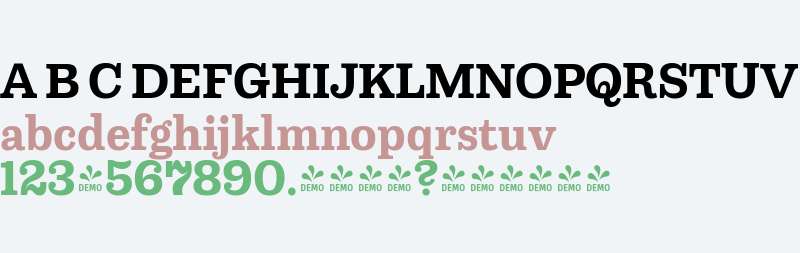 FSP DEMO - Capital Serif Bold