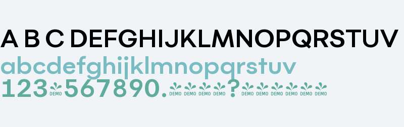 FSP DEMO - Flink Bold