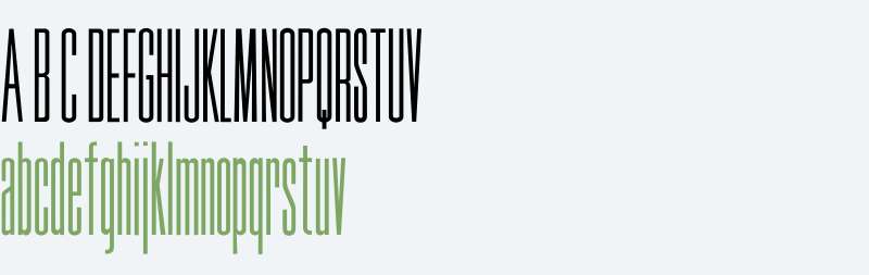 Tall Skinny W95 Cond