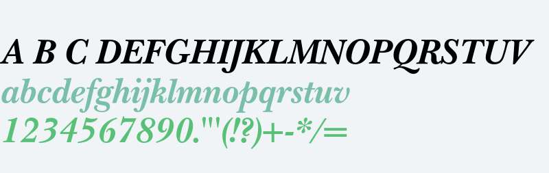 New Baskerville* Bold Italic