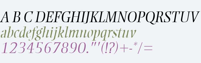 Ellington MT W04 Light Italic