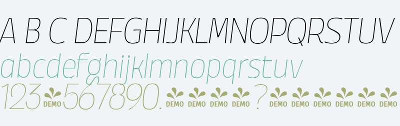 FSP DEMO - Annuario Thin Italic