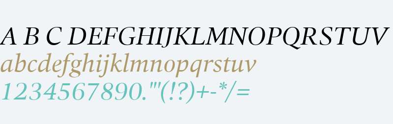 Quant Text W01 Italic