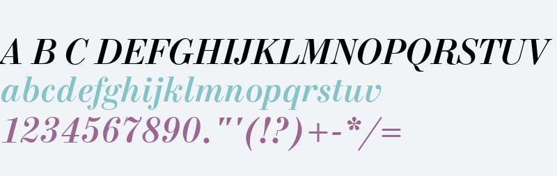 New Standard W01 Bold Italic