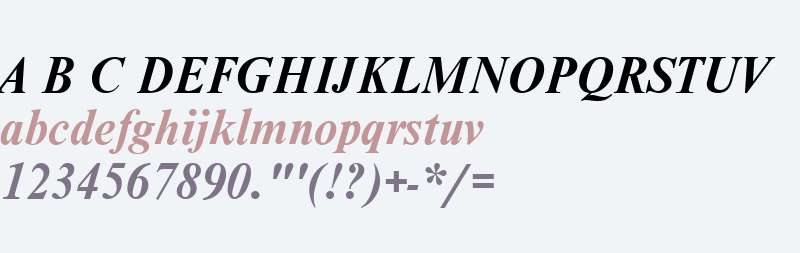 Nimbus Roman W01 Bold Italic