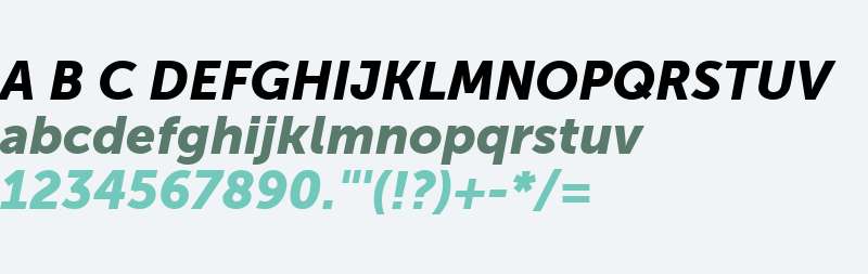 MuseoSansW05-900Italic