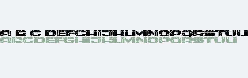 Portfolio Book Regular