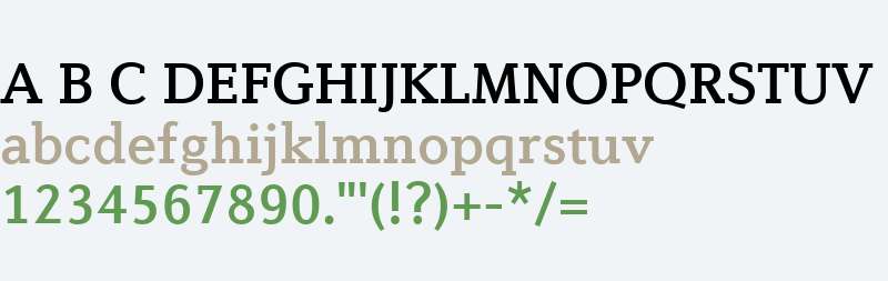 Diverda Serif W04 Medium