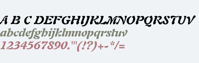 Auriol LT W01 Black Italic