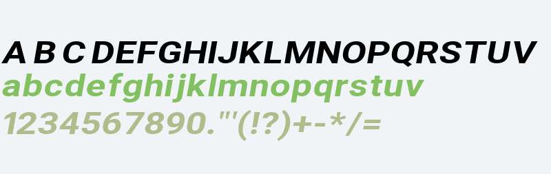 Asimov Extra Wide Italic