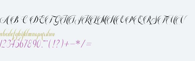 Beautiful Roses Script