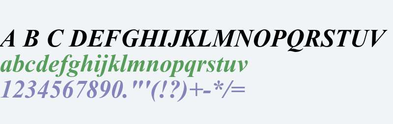 Times New Roman PS Std Bold Italic