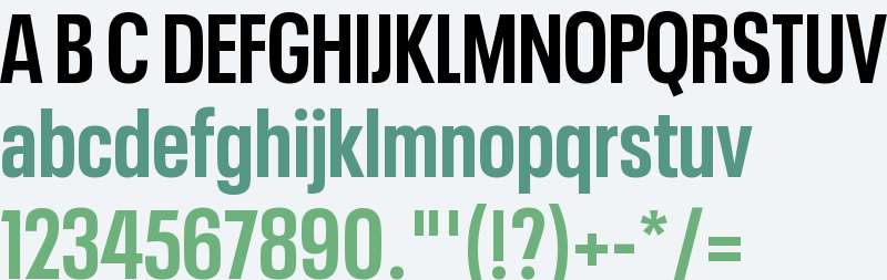 Neue Plak W04 Condensed Bold