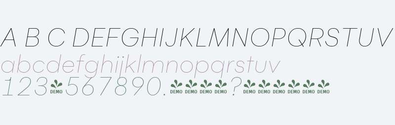 FSP DEMO - Flink Thin Italic