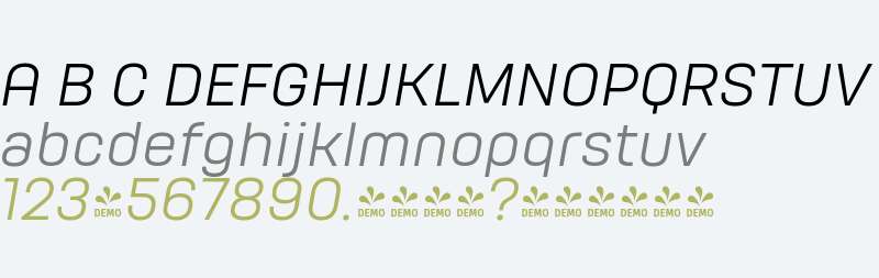 FSP DEMO - HongKong Light