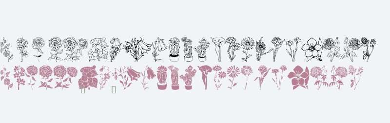 DT Flowers 1