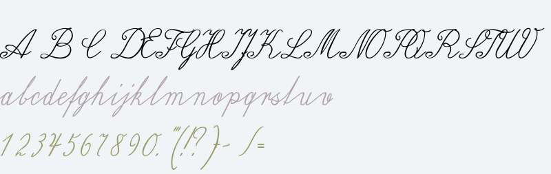 Wiegel Latein Medium