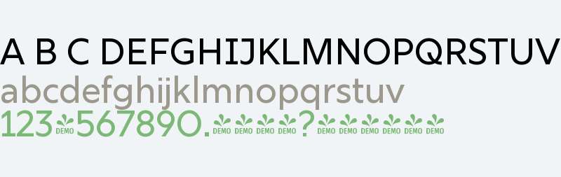 FSP DEMO - Rig Sans Medium