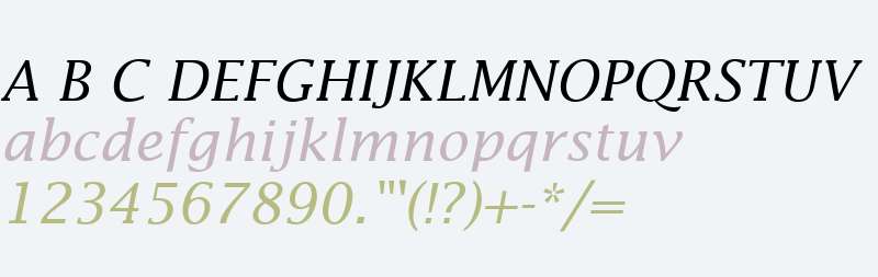 Insight SSi Italic