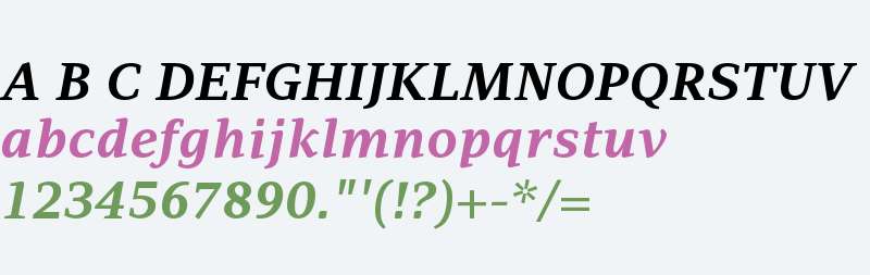 PF Adamant W01 Bold Italic