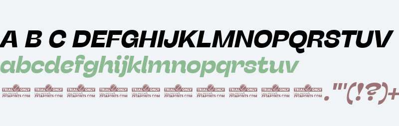 Stinger Fit Trial Bold Italic