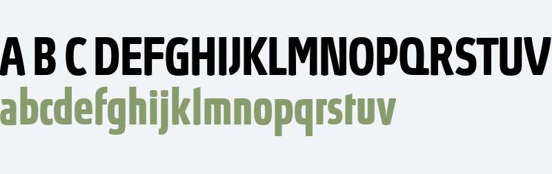 Absolut Condensed Red