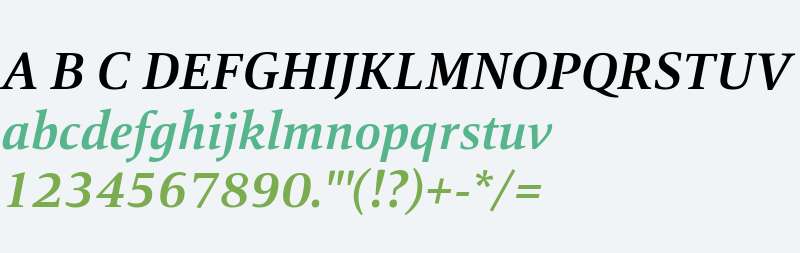 Mangan W03 Bold Italic